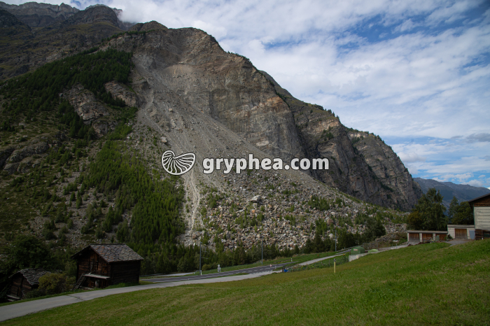 JN 31233 Glissement de terrain (Randa, Suisse) - gryphea.org